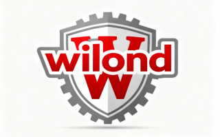 创意域名wilond.com深度解析与商业价值评估