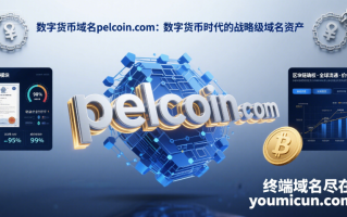 数字货币域名pelcoin.com：数字货币时代的战略级域名资产