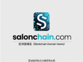 链启精英，域聚未来——chainsalon.com区块链域名全球首发推荐