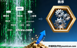 双拼顶级域名zhixu.com深度解析与商业价值评估/“秩序”
