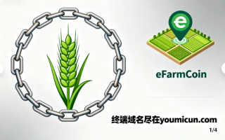 虚拟货币域名eFarmCoin.com深度解析与商业价值评估报告