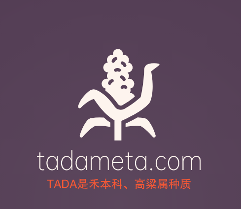 元宇宙啥域名好,tadameta.com邀你来品鉴点评-第1张图片-优米村(YOUMICUN.COM)